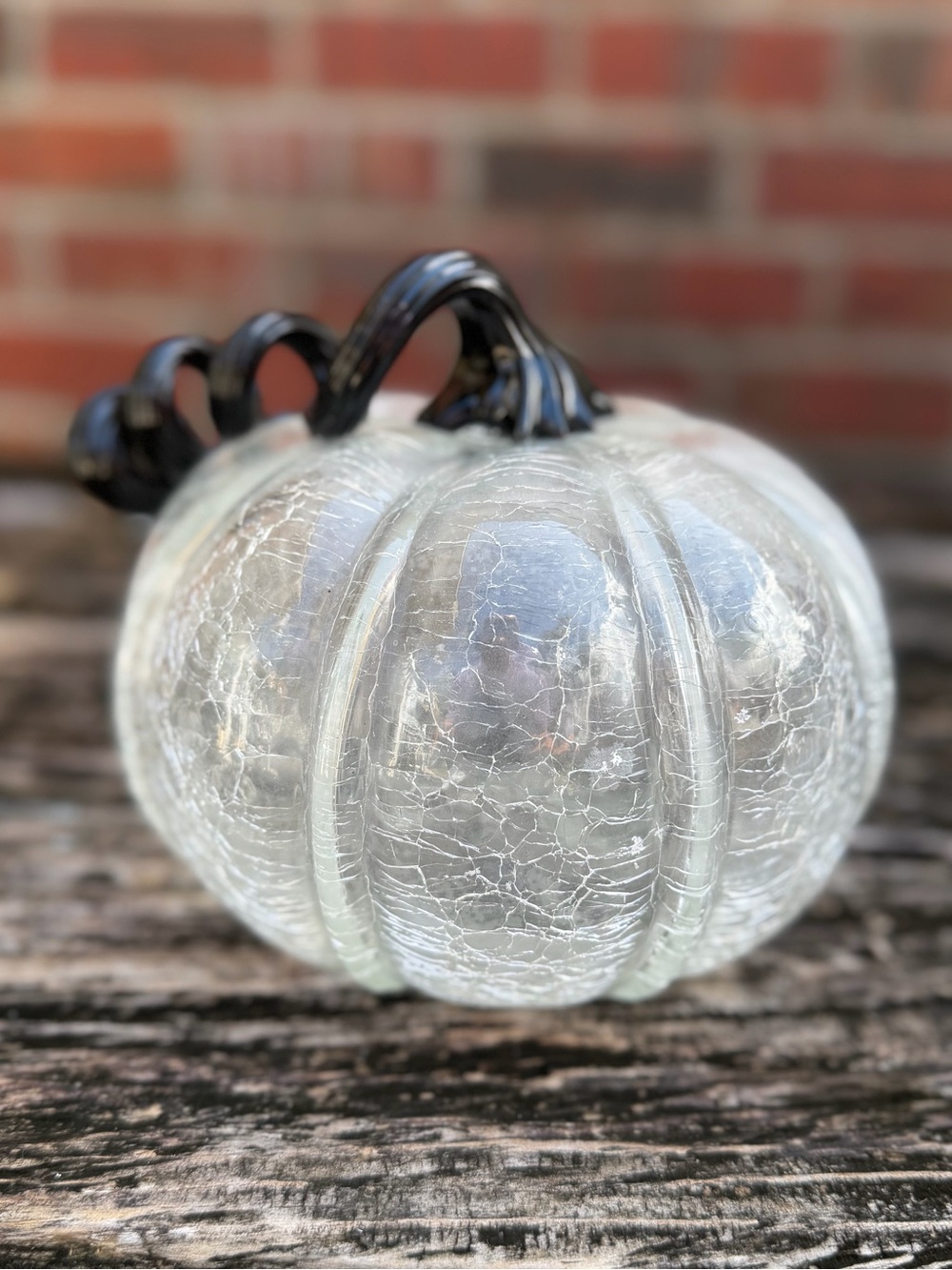 Hand Blown Glass Crackle Pumpkin with Black Stem - Decorative Halloween Home Art